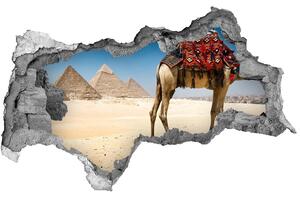 Fotoobraz diera na stenu Camel v káhire nd-b-93235803