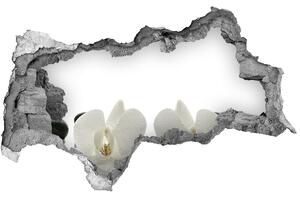 Samolepiaca diera na stenu nálepka Orchidea nd-b-49248021