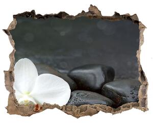 Samolepící nálepka fototapeta Orchidea nd-k-113617594