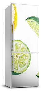 Foto nálepka na chladničku Liemtky a citrón
