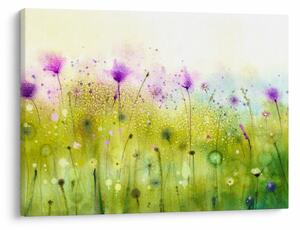 Obraz - Lúčne kvety (70x50 cm)