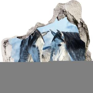 Nálepka fototapeta 3D na stenu Gray kone v zime