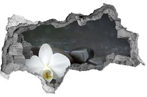 Samolepiaca nálepka fototapeta Orchidea nd-b-113617594