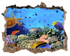 Díra 3D fototapeta nálepka Koralový útes nd-k-35544351