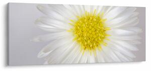 Obraz - Margarita (120x50 cm)