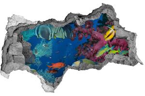 Diera 3D fototapeta na stenu Koralový útes nd-b-64308436