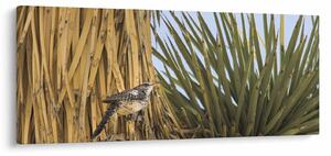 Obraz - Oriešok (120x50 cm)