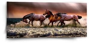 Sablio Obraz Kone vo vode - 110x50 cm
