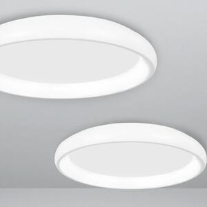 Stropné svietidlo LED so stmievaním Albi 60 biele