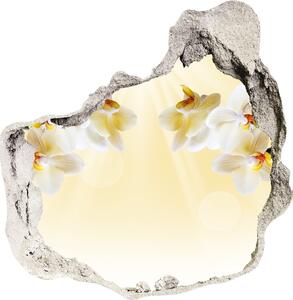 Nálepka fototapeta 3D výhľad Orchidea nd-p-72852358