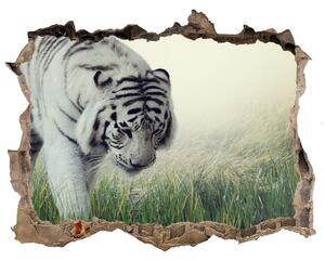 Díra 3D fototapeta nálepka Biely tiger nd-k-84071201