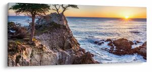 Obraz - Pacifické pobrežie (120x50 cm)