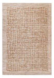 Béžový koberec 120x160 cm Anders Beige Natural – Asiatic Carpets