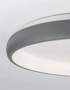 Stropné svietidlo LED so stmievaním Albi 61 Svetlá sivé