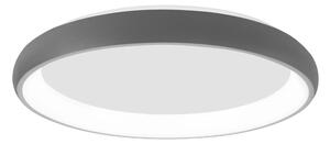 Stropné svietidlo LED so stmievaním Albi 61 Svetlá sivé