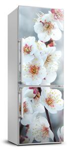 Samolepiace nálepka na chladničku Kvety višne