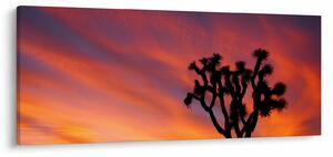 Obraz západu slnka nad siluetou stromu (120x50 cm)