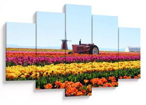Obraz tulipánové farmy (150x105 cm)