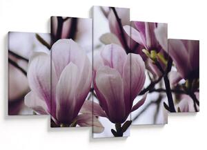 Obraz - Magnolie (150x105 cm)