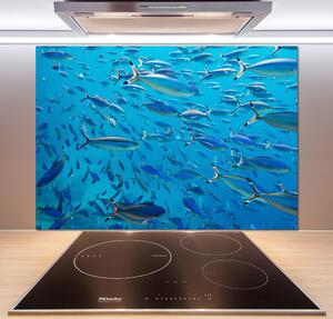 Panel do kuchyne Koralové ryby pl-pksh-100x70-f-39421860