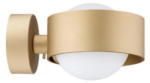 Argon 8567 - Kúpeľňové nástenné svietidlo MASSIMO PLUS 1xG9/6W/230V zlatá