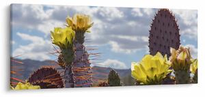 Obraz opuncie (120x50 cm)