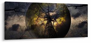 Obraz - Záhadné nebo (120x50 cm)