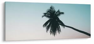 Obraz - Palma na Bali (120x50 cm)