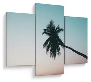 Obraz - Palma na Bali (90x60 cm)