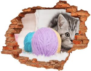 Diera 3D fototapeta na stenu Mačka s motko nd-c-58337219