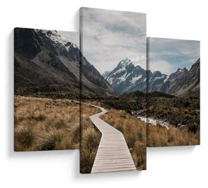 Obraz - Chodník v údolí hory Mt. Cook (90x60 cm)