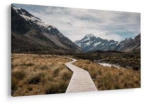 Obraz - Chodník v údolí hory Mt. Cook (90x60 cm)
