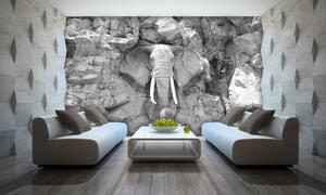 Fototapeta - Slon vytesaný v skalách - sivý (152,5x104 cm)