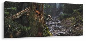 Obraz - V lese (120x50 cm)