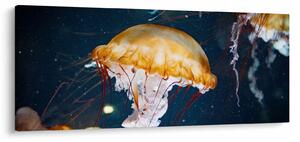 Obraz medúzy (120x50 cm)
