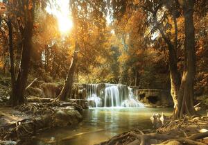Fototapeta - Vodopád v jesennom lese (152,5x104 cm)