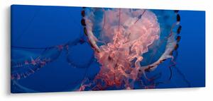 Obraz medúzy (120x50 cm)