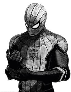 Plagát, Obraz - Spider-man