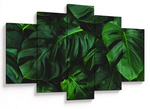 Obraz listov Monstery (150x105 cm)
