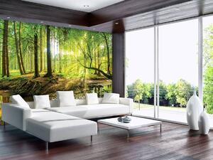 Fototapeta - Slnečný les (152,5x104 cm)