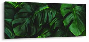Obraz listov Monstery (120x50 cm)