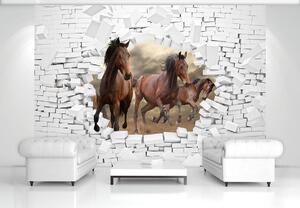 Fototapeta - 3D kone v stene (152,5x104 cm)