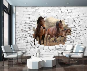Fototapeta - 3D kone v stene (152,5x104 cm)
