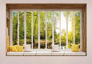 Fototapeta - Slnečný pohľad na stromy z okna (152,5x104 cm)