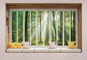 Fototapeta - Výhľad z okna na les (152,5x104 cm)