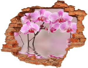 Diera 3D fototapeta nálepka Ružová orchidea nd-c-79883275