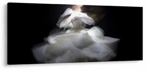 Obraz kvetu lotosu (120x50 cm)