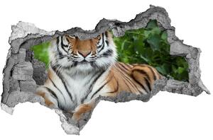 Diera 3D fototapeta nálepka Tiger ussurijský