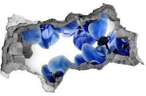 Fototapeta nálepka na stenu Modrá orchidea nd-b-108719239