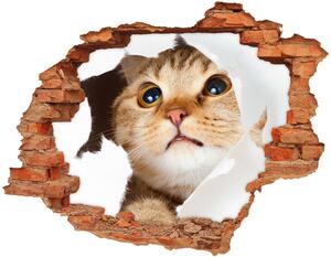 Nálepka 3D diera na stenu betón Mačka v diere